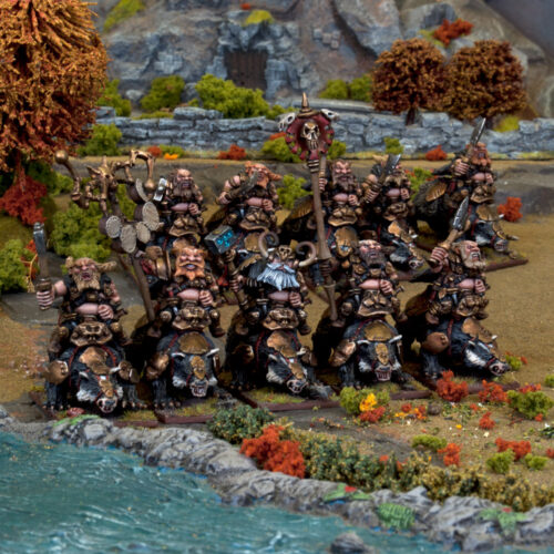 Dwarf Brock Riders Colour Shot