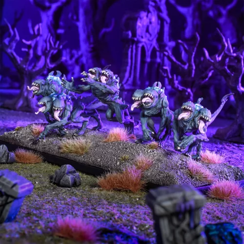 nightstalker shadowhounds colour shot Colour Shot